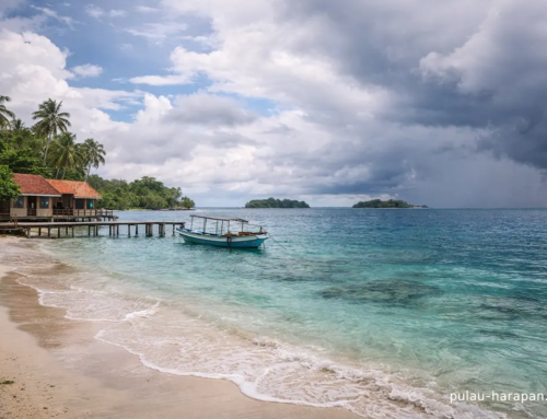 Tour Pulau Harapan Januari: Cuaca, Ombak, dan Tips Berangkat